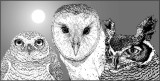We are Night Owls - are you one too?